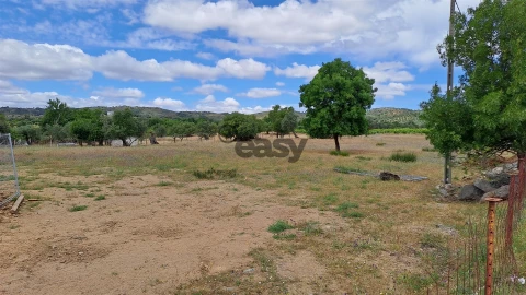 Terreno Agricola ou Rústico para Venda em Vidigueira