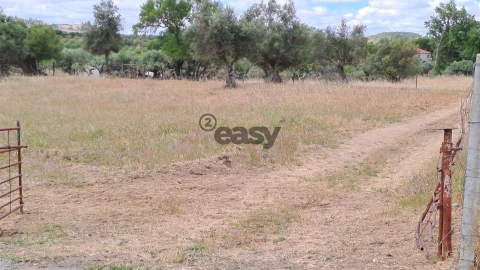 Terreno Agricola ou Rústico para Venda em Vidigueira