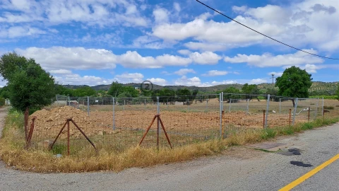 Terreno Agricola ou Rústico para Venda em Vidigueira