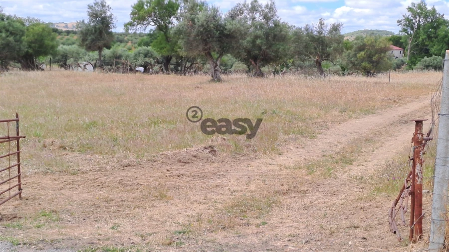 Terreno Agricola ou Rústico para Venda em Vidigueira Foto 8