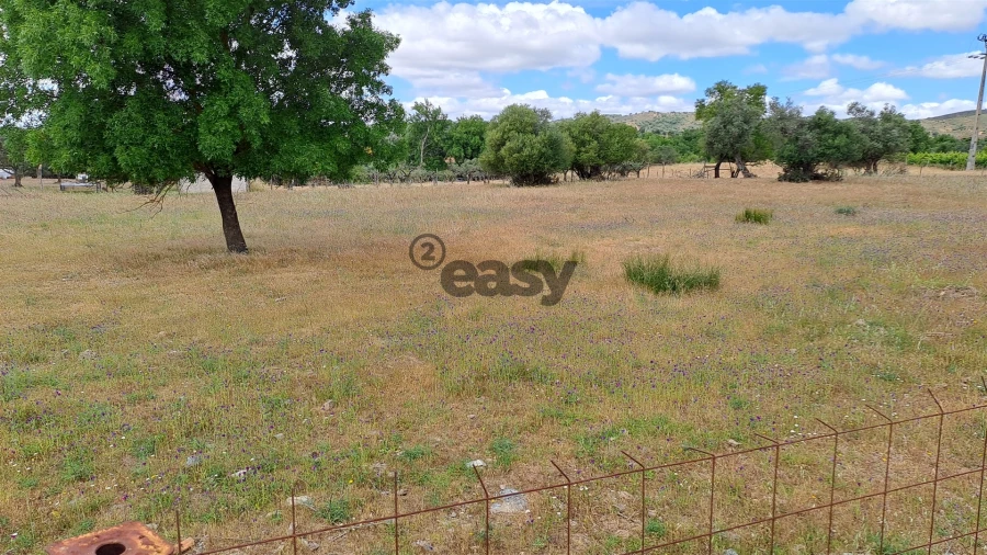 Terreno Agricola ou Rústico para Venda em Vidigueira Foto 6