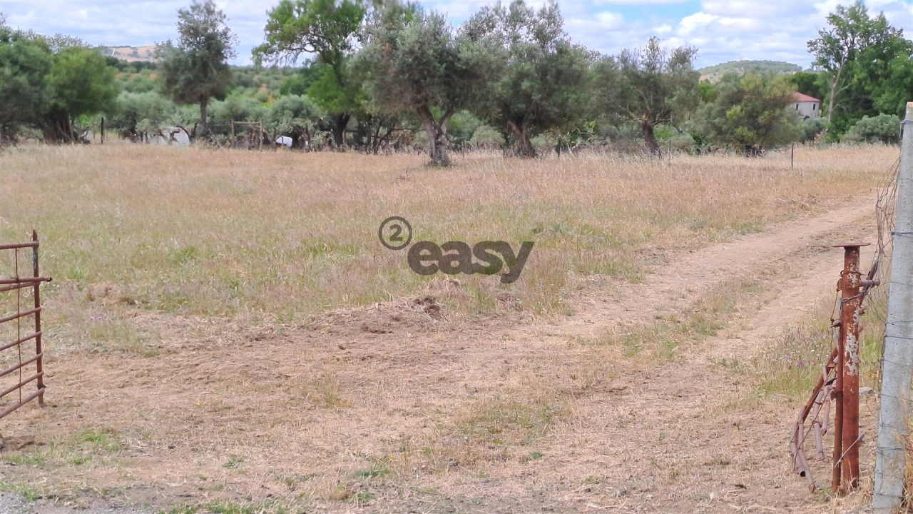 Terreno Agricola ou Rústico para Venda em Vidigueira Foto 8