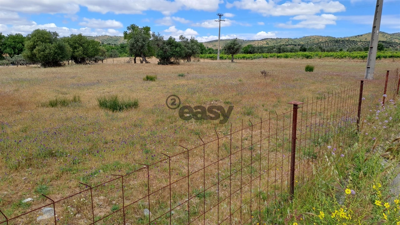 Terreno Agricola ou Rústico para Venda em Vidigueira Foto 3