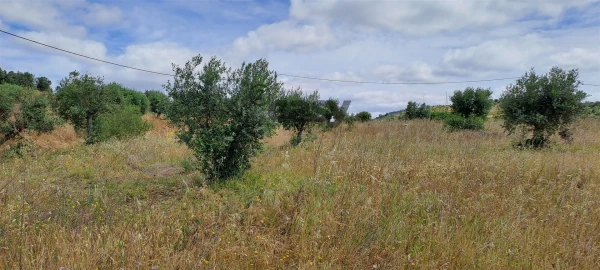 Terreno Agricola ou Rústico para Venda em Vidigueira