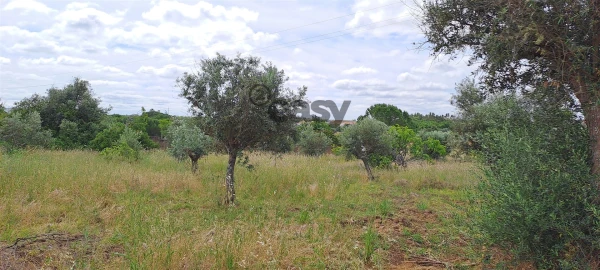 Terreno Agricola ou Rústico para Venda em Vidigueira