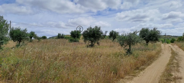 Terreno Agricola ou Rústico para Venda em Vidigueira