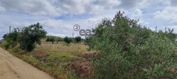 Terreno Agricola ou Rústico para Venda em Vidigueira
