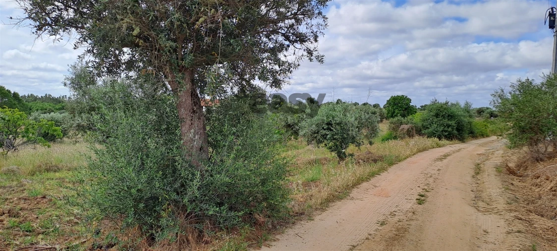 Terreno Agricola ou Rústico para Venda em Vidigueira Foto 9