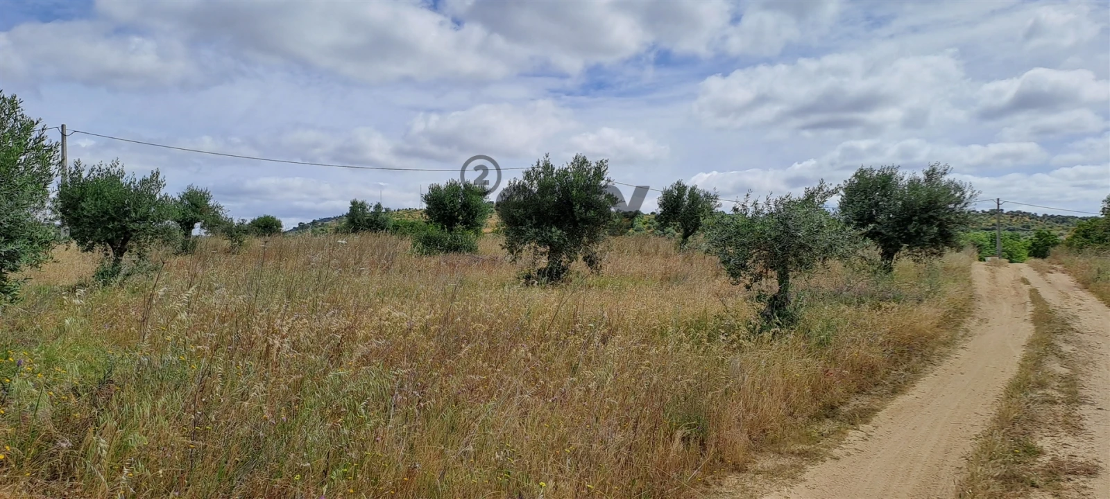 Terreno Agricola ou Rústico para Venda em Vidigueira Foto 1