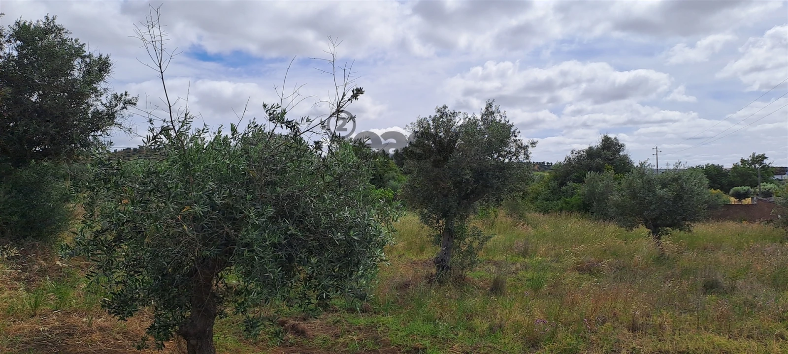 Terreno Agricola ou Rústico para Venda em Vidigueira Foto 11