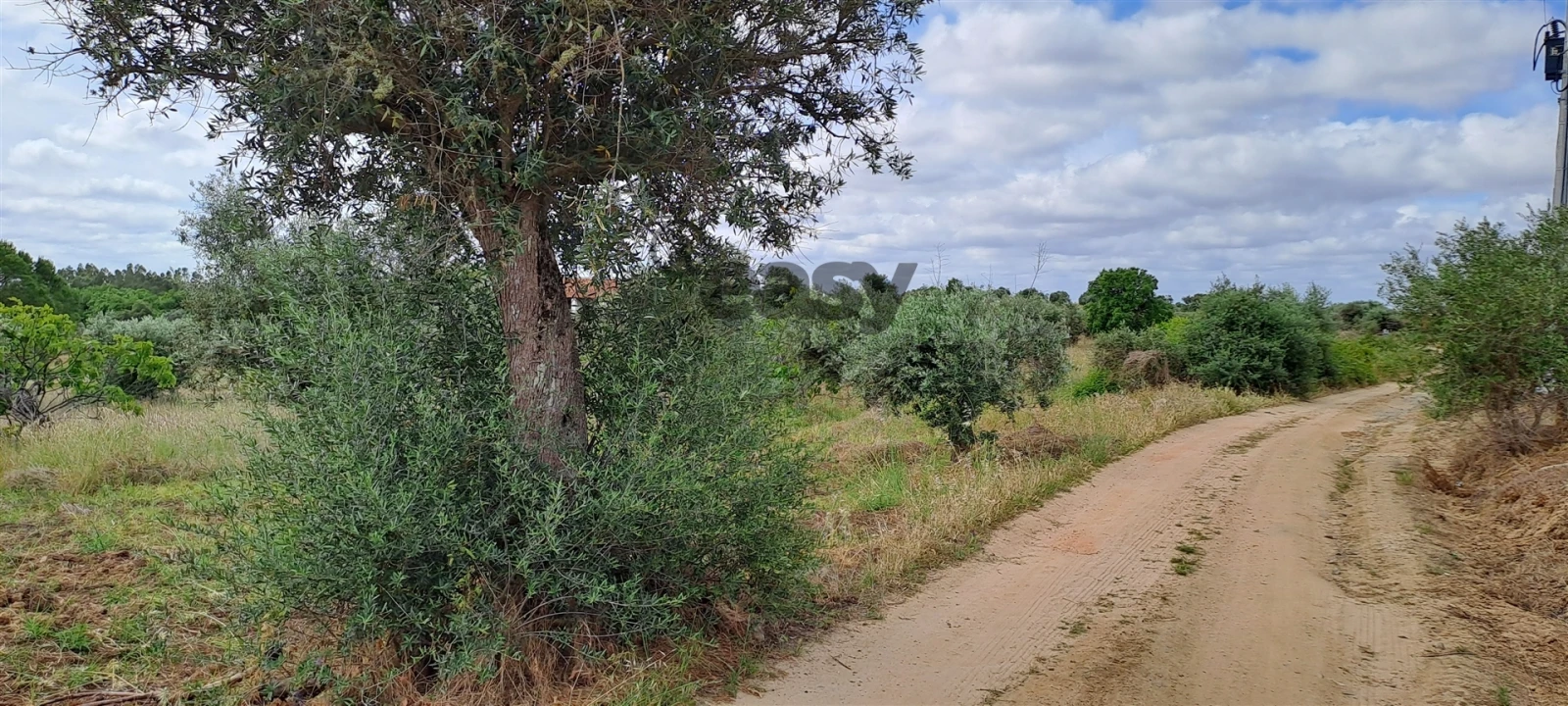 Terreno Agricola ou Rústico para Venda em Vidigueira Foto 9