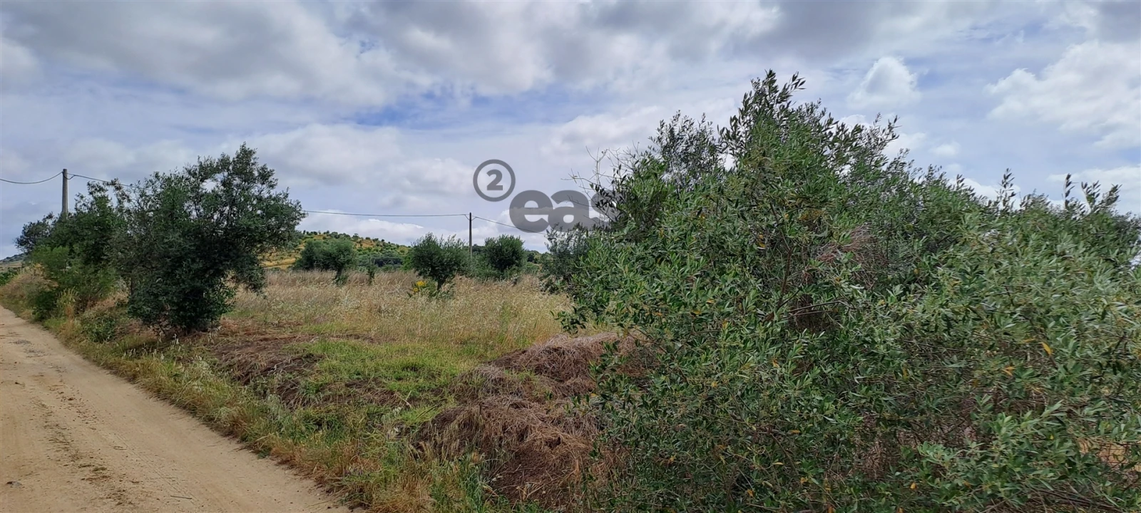 Terreno Agricola ou Rústico para Venda em Vidigueira Foto 7