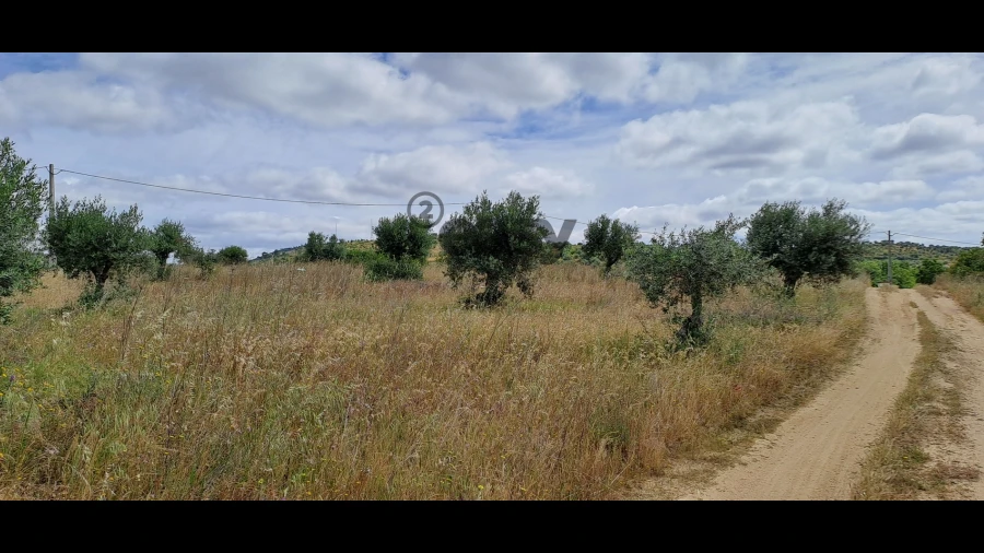 Terreno Agricola ou Rústico para Venda em Vidigueira