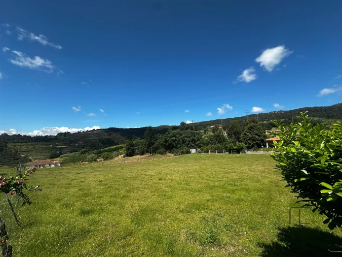 Moradia T5 para Venda em Santa Cruz do Douro e São Tomé de Covelas Foto 3