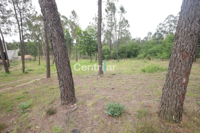 Terreno Agricola ou Rústico para Venda em Mundão
