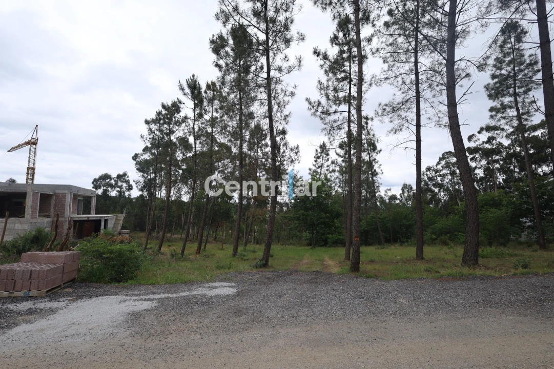 Terreno Agricola ou Rústico para Venda em Mundão Foto 3