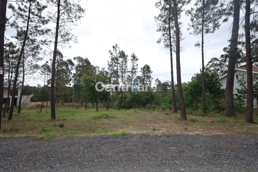 Terreno Agricola ou Rústico para Venda em Mundão Foto 1