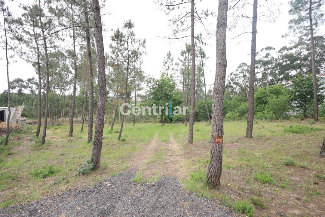 Terreno Agricola ou Rústico para Venda em Mundão Foto 4