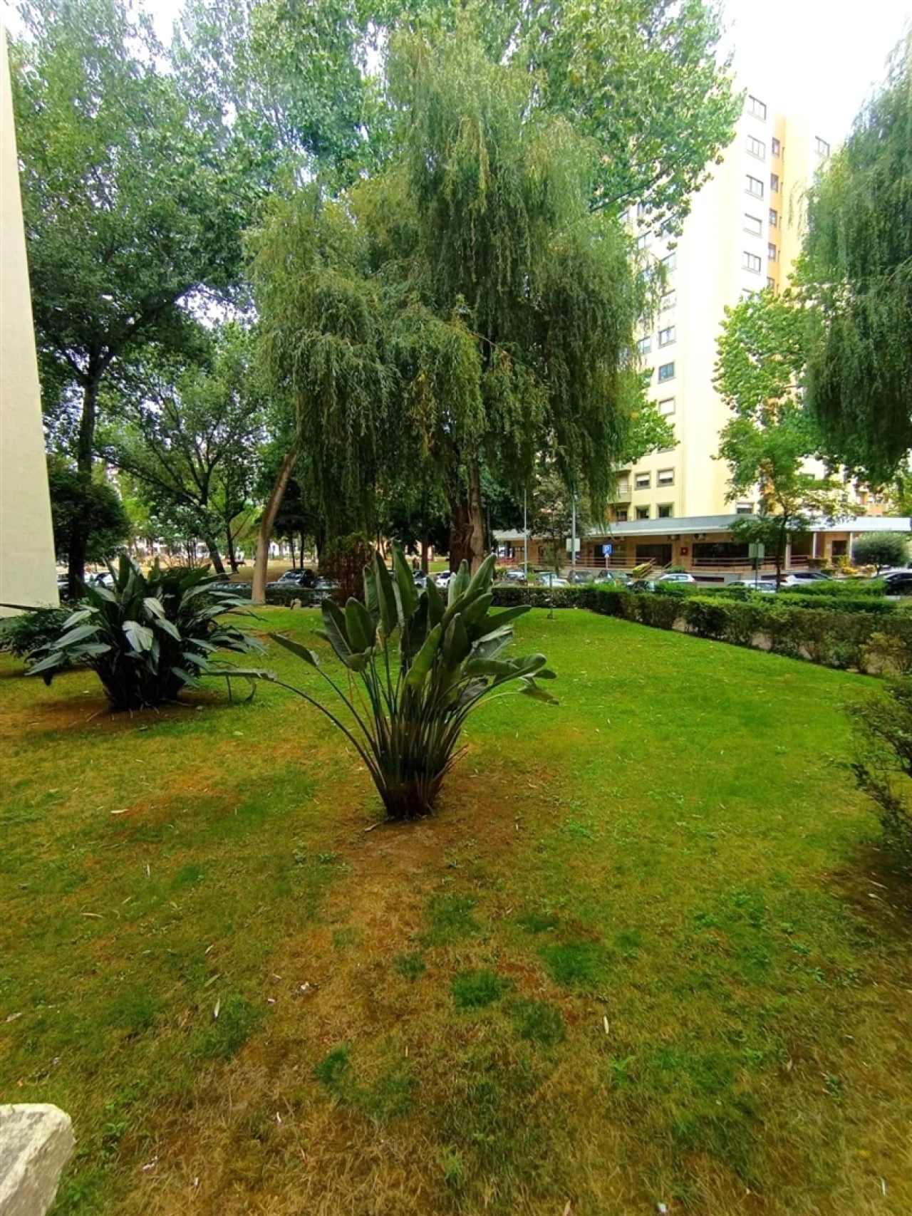 Apartamento T1 para Venda em Ramalde Foto 6