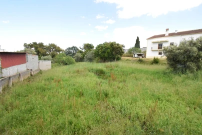 Terreno Agricola ou Rústico para Venda em Dominguizo