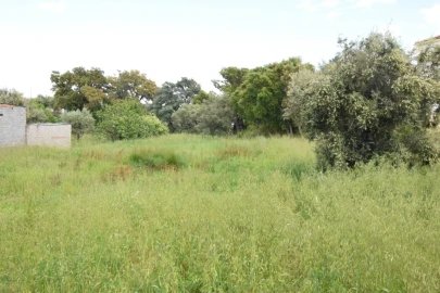 Terreno Agricola ou Rústico para Venda em Dominguizo