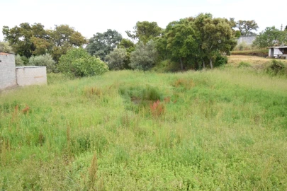 Terreno Agricola ou Rústico para Venda em Dominguizo