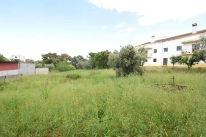 Terreno Agricola ou Rústico para Venda em Dominguizo
