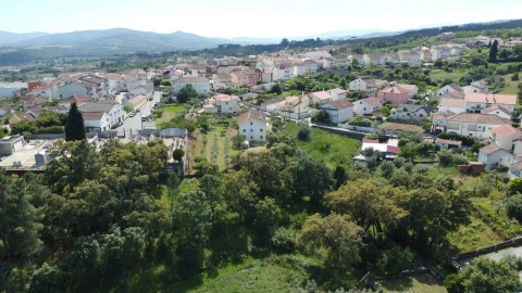 Terreno Agricola ou Rústico para Venda em Dominguizo