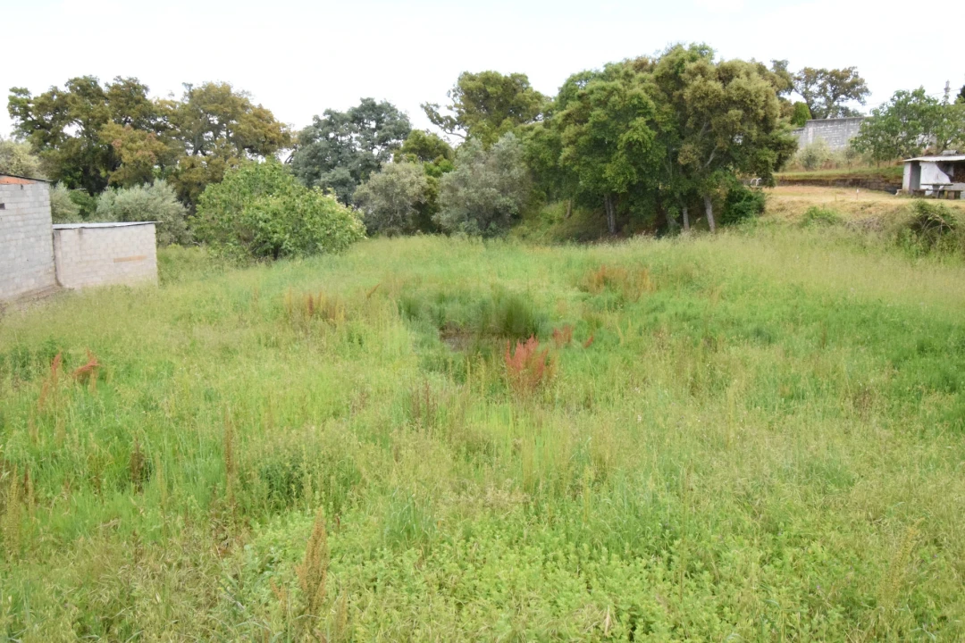 Terreno Agricola ou Rústico para Venda em Dominguizo Foto 15