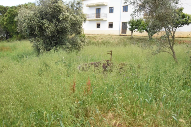 Terreno Agricola ou Rústico para Venda em Dominguizo Foto 14