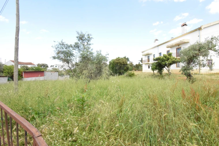 Terreno Agricola ou Rústico para Venda em Dominguizo Foto 12