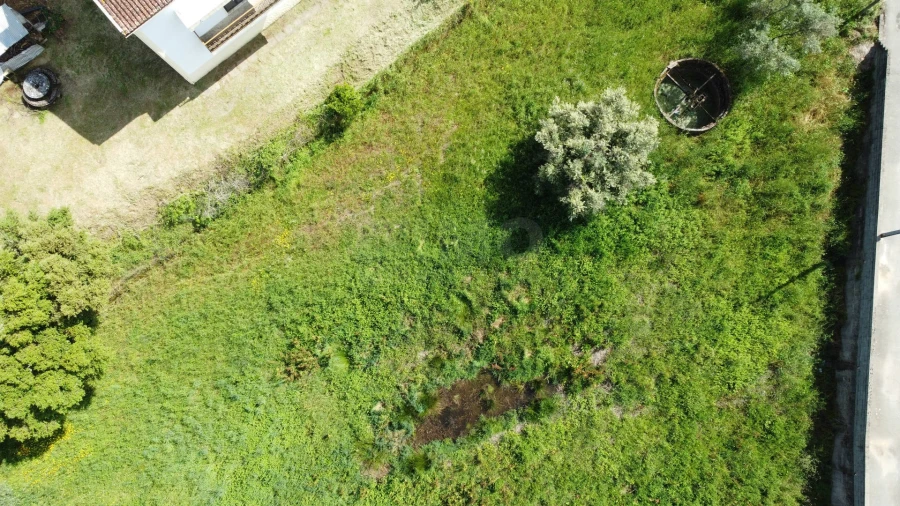 Terreno Agricola ou Rústico para Venda em Dominguizo Foto 5
