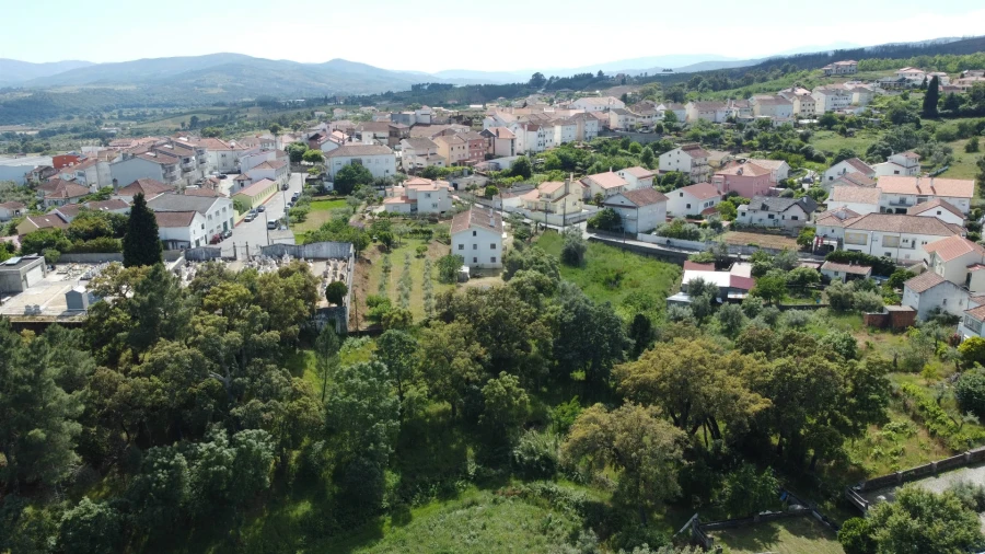 Terreno Agricola ou Rústico para Venda em Dominguizo Foto 7