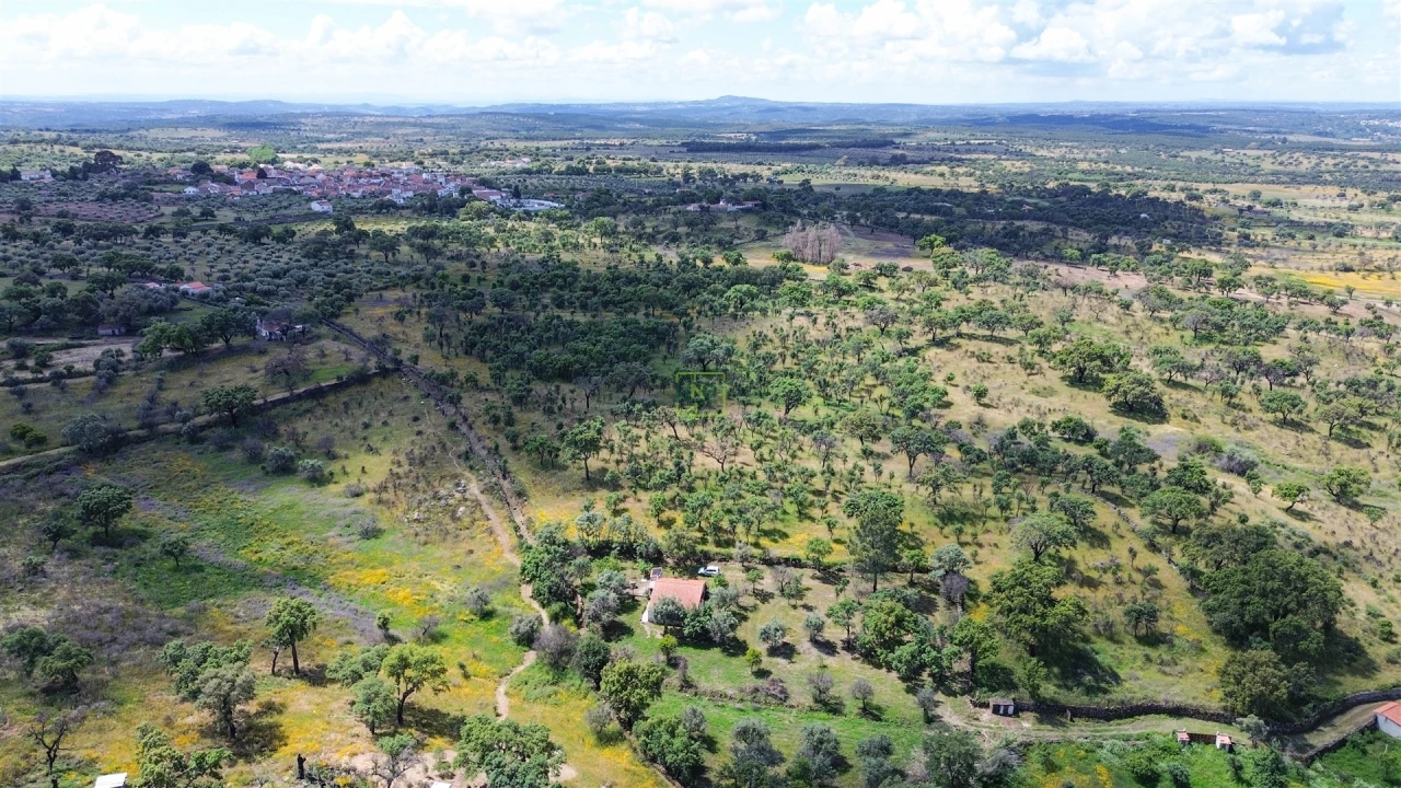 Terreno Agricola ou Rústico para Venda em Medelim Foto 52