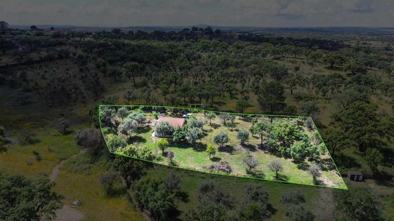 Terreno Agricola ou Rústico para Venda em Medelim Foto 55