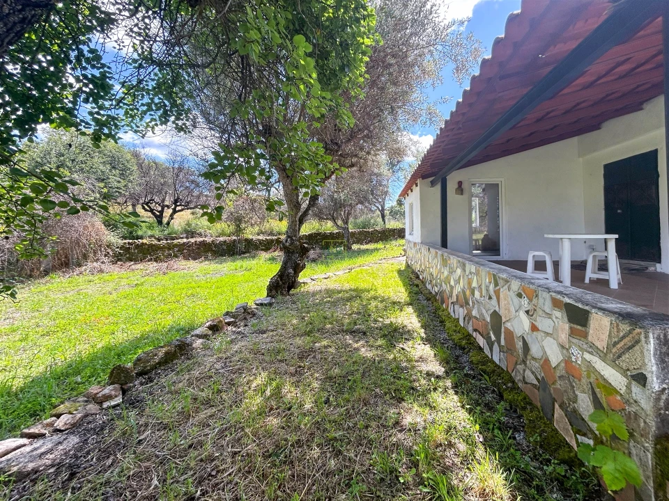 Terreno Agricola ou Rústico para Venda em Medelim Foto 39