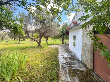 Terreno Agricola ou Rústico para Venda em Medelim