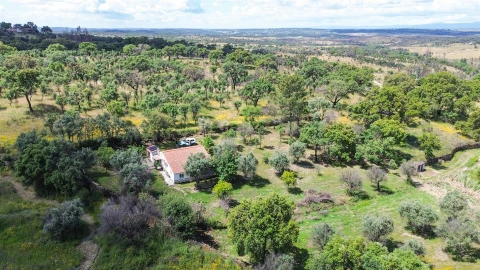 Terreno Agricola ou Rústico para Venda em Medelim