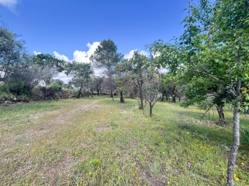 Terreno Agricola ou Rústico para Venda em Medelim