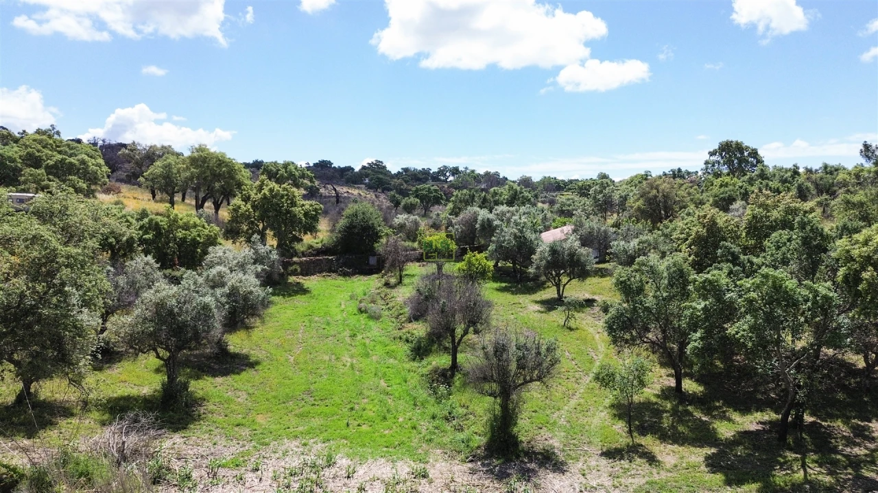 Terreno Agricola ou Rústico para Venda em Medelim Foto 60