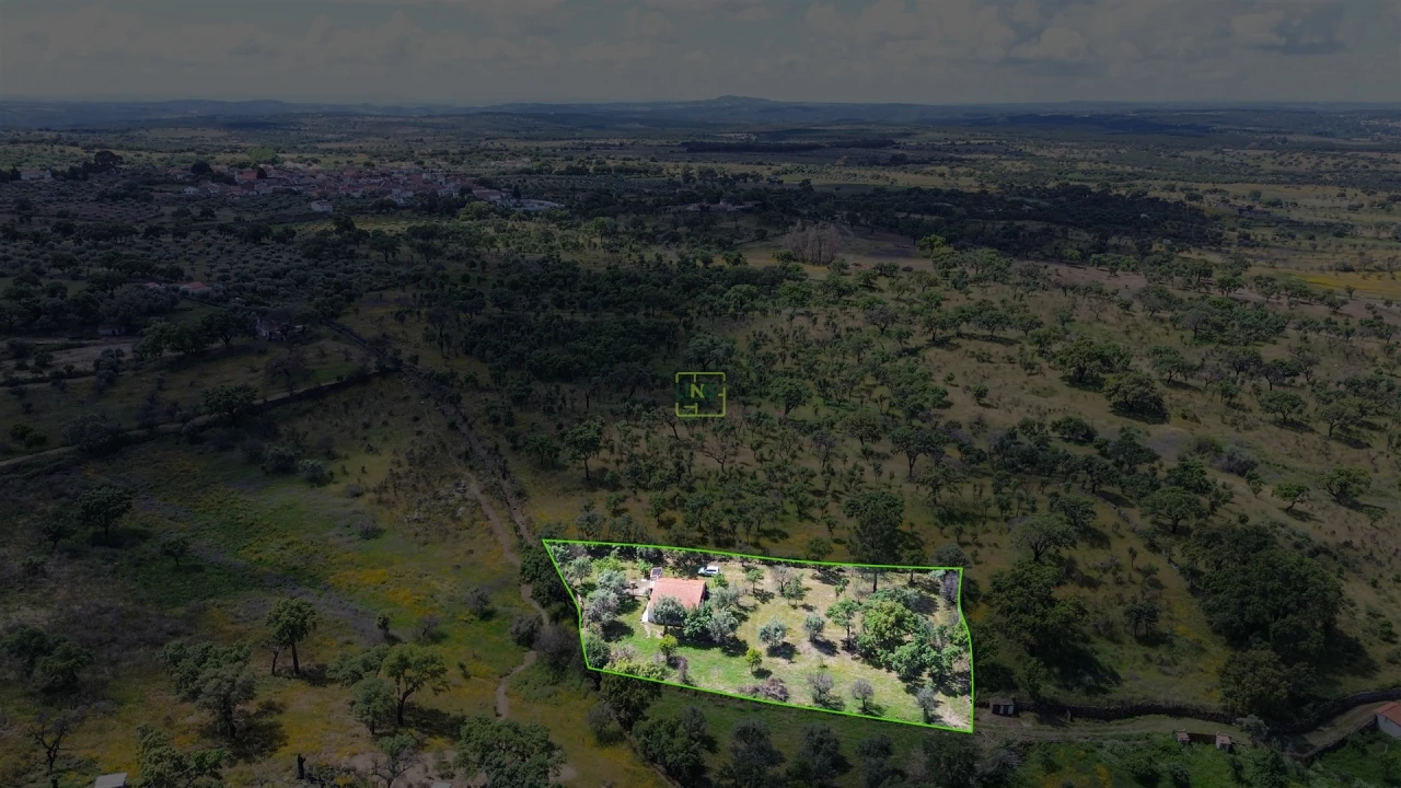 Terreno Agricola ou Rústico para Venda em Medelim Foto 53