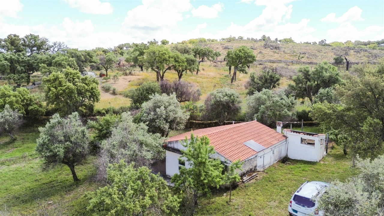 Terreno Agricola ou Rústico para Venda em Medelim Foto 69