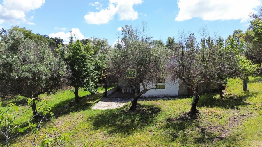Terreno Agricola ou Rústico para Venda em Medelim Foto 62