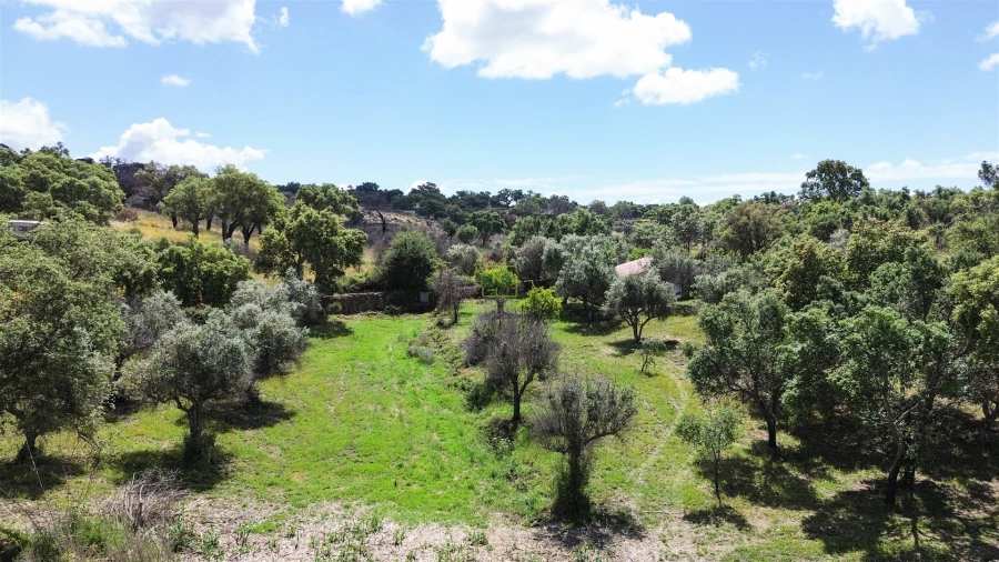Terreno Agricola ou Rústico para Venda em Medelim Foto 60