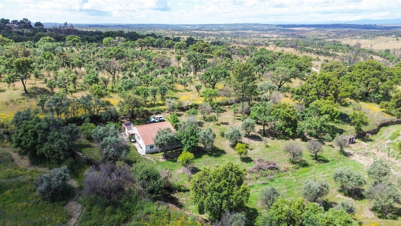 Terreno Agricola ou Rústico para Venda em Medelim Foto 56