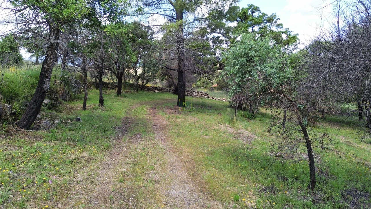Terreno Agricola ou Rústico para Venda em Medelim Foto 71