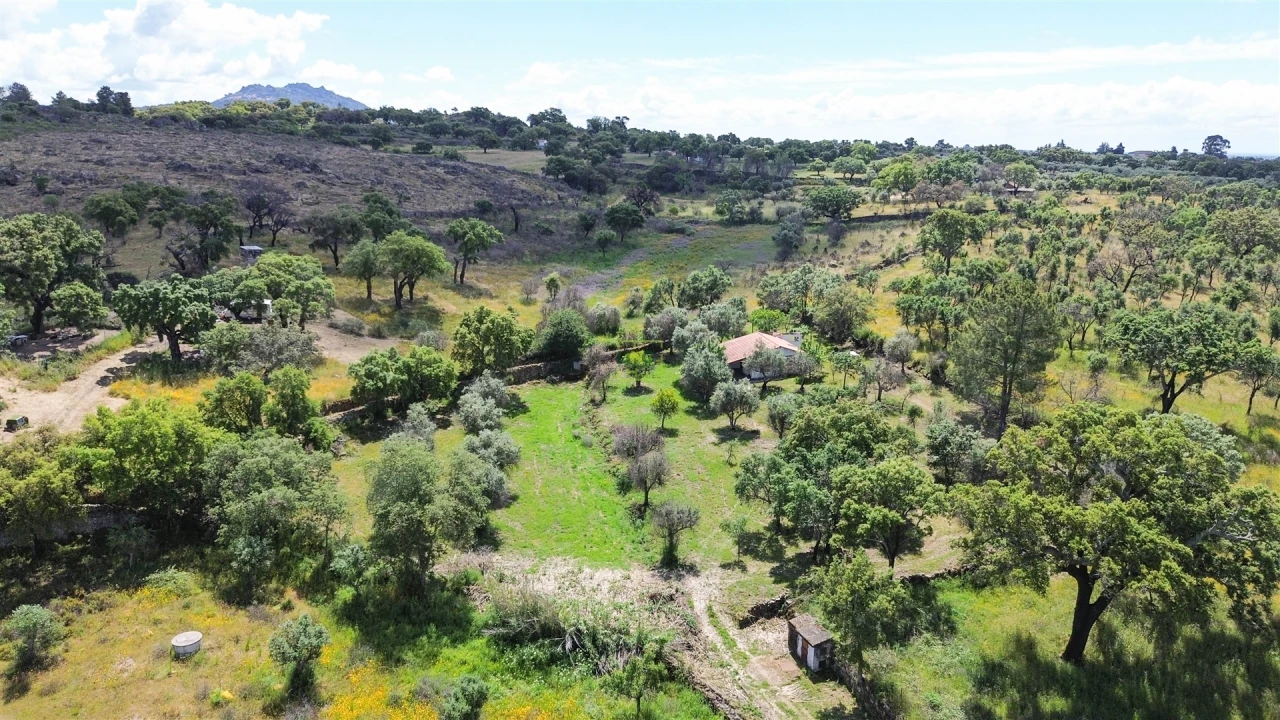 Terreno Agricola ou Rústico para Venda em Medelim Foto 58