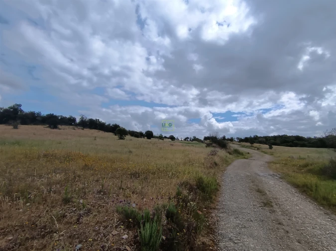 Terreno Agricola ou Rústico para Venda em Penamacor Foto 5