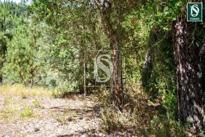 Moradia T3 para Venda em Serra e Junceira