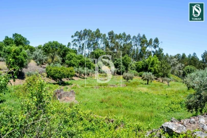 Moradia T3 para Venda em Serra e Junceira